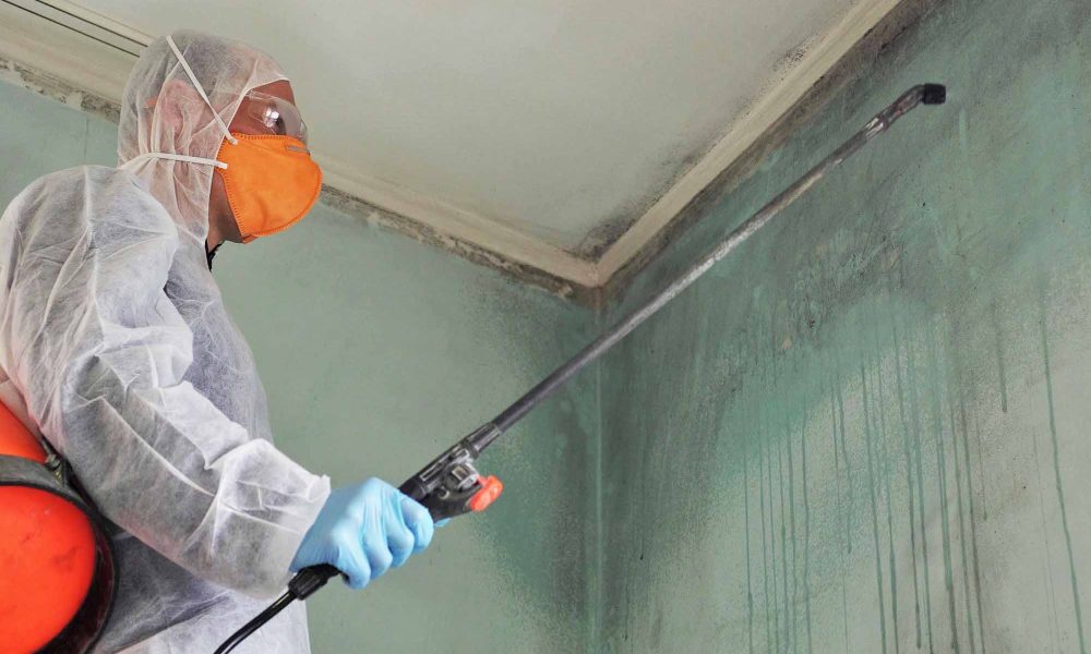 Mould Inspection