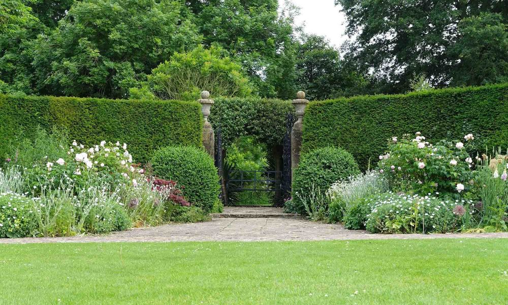 Scenic view of a beautiful green garden