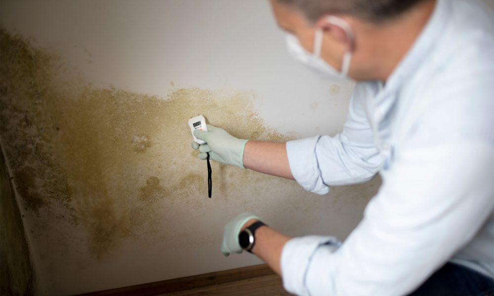 Moisture level on a wall