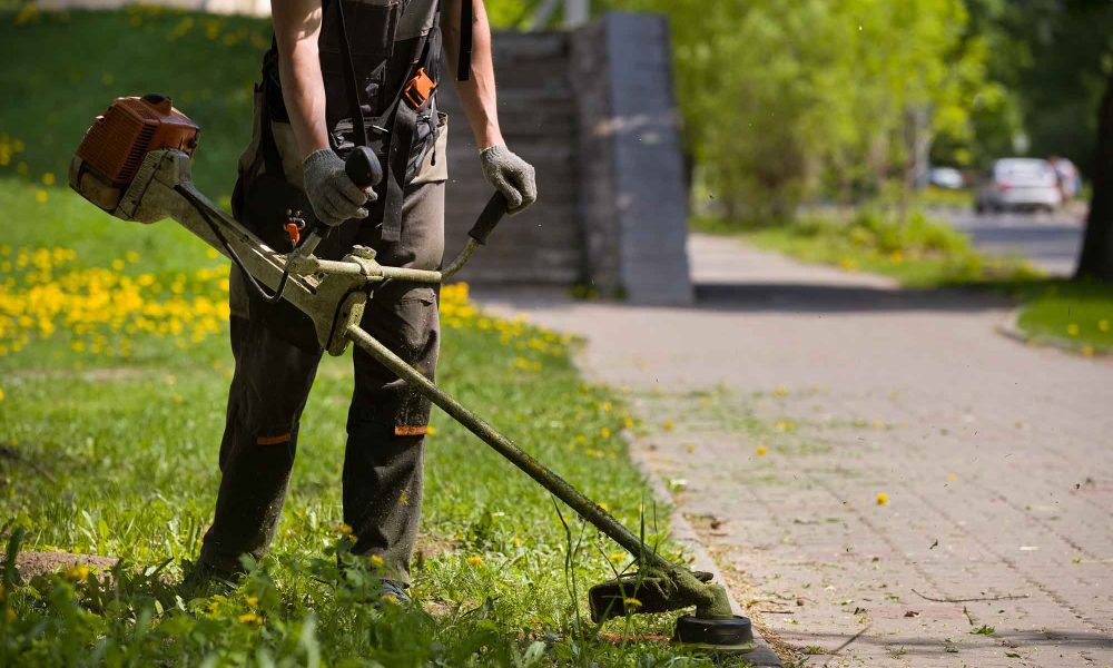 Staff in protective clothing, and gloves with a trimmer.