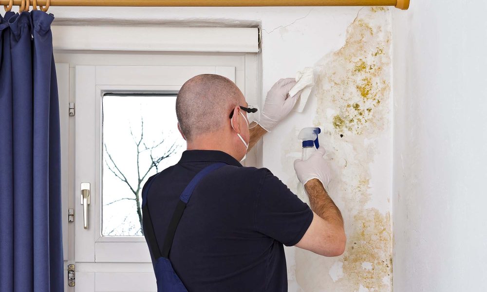 Removing mould or mildew growing behind the drapes of an external wall